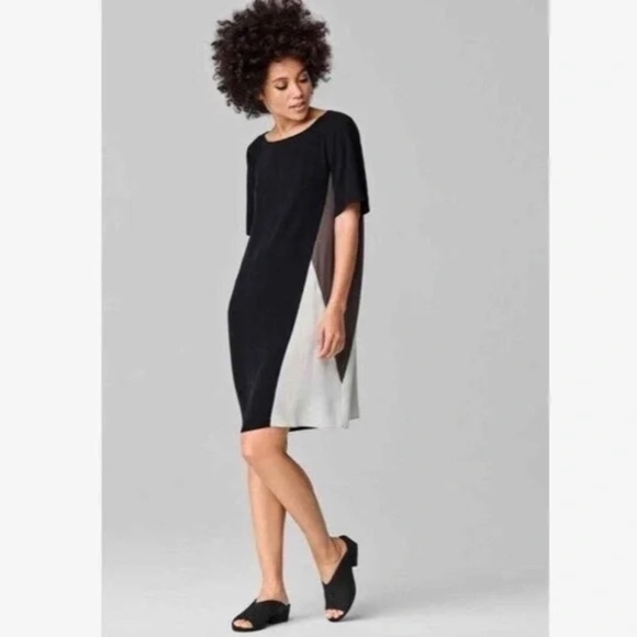 Eileen Fisher 100% Silk Georgette Color-Block Shift Pullover Dress ~ Size L/G - Picture 1 of 7